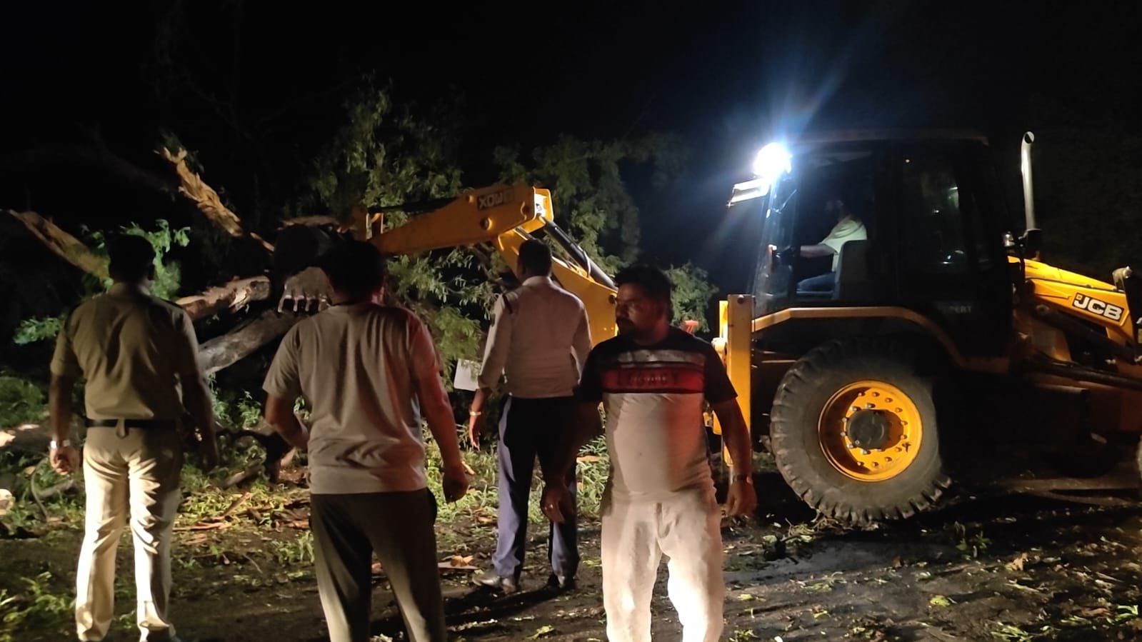 पेड़ गिरने से बाधित हुआ रायपुर-मुंगेली मार्ग, अध्यक्ष शुक्ला की पहल और प्रशासन की तत्परता से रात 12 बजे बहाल हुआ यातायात
