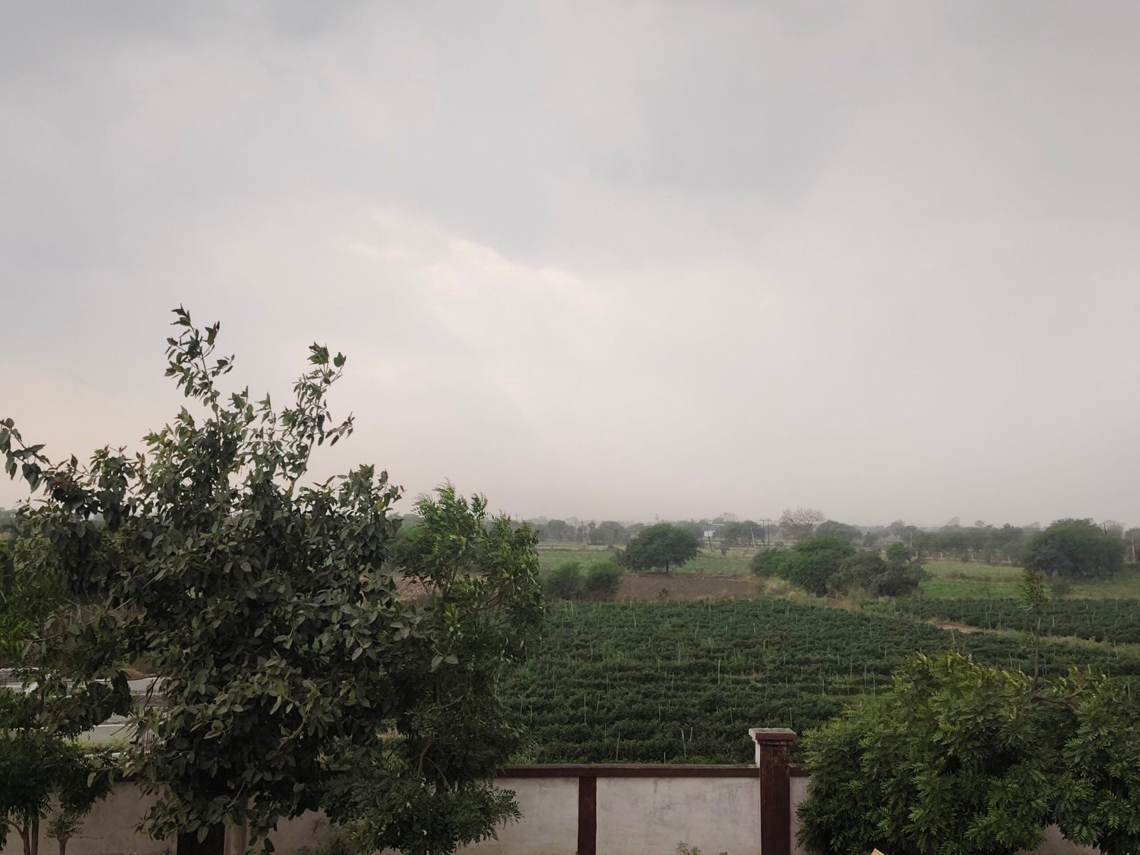 मुंगेली में बदला मौसम का मिजाज, दोपहर बाद बारिश से बढ़ी ठंड