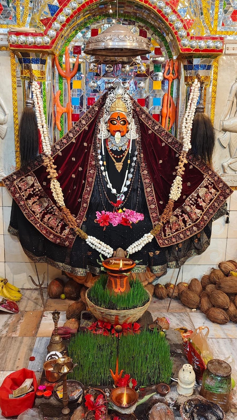 मुंगेली नवरात्र की आज सप्तमी दिन माँ काली की होगी भव्य महाआरती